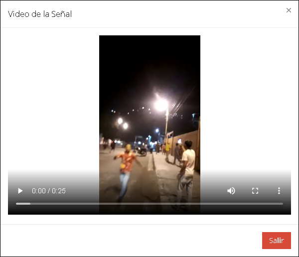 Ventana video monitoreo_video